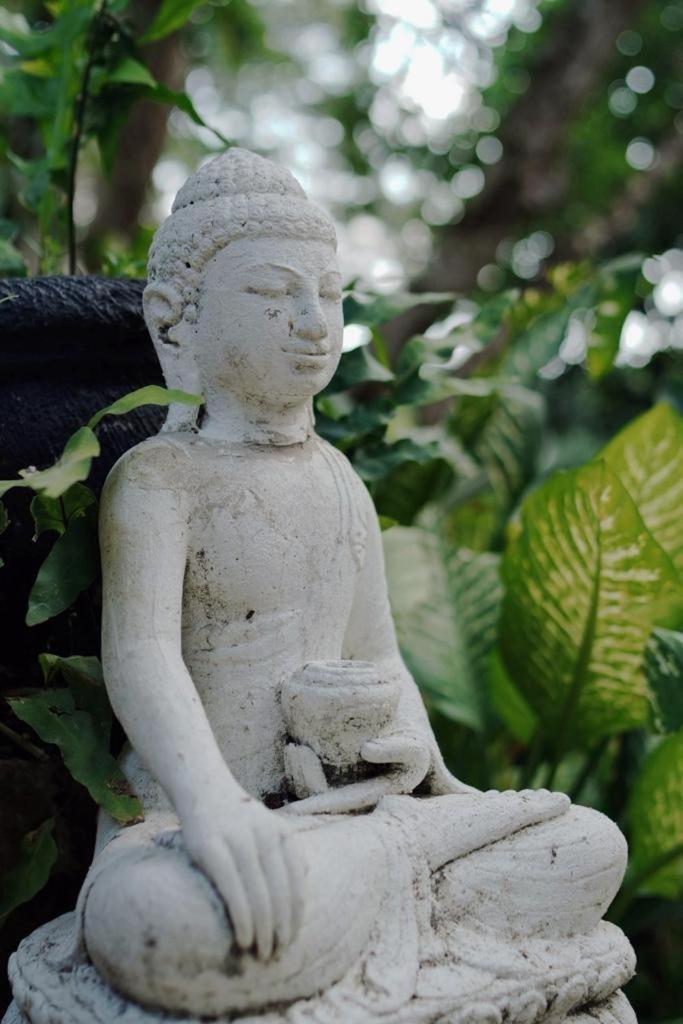 Sattva Yoga Retreat Villas Чангу Екстер'єр фото